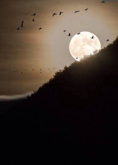 (明月白云不用招)明月无云水不波"的意思和寓意,探寻其中的哲学深意和人生启示 (明月白云不用招)明月无云水不波"的意思和寓意,探寻其中的哲学深意和人生启示