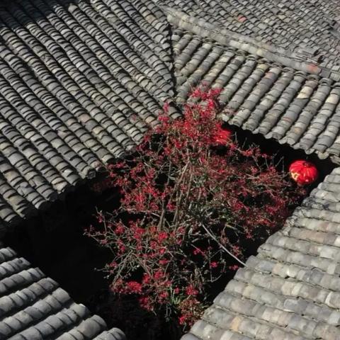 (陶笛曲烟笼长安)在烟笼长安的夜晚,陶笛演奏带你领略古城的韵味与悠扬旋律 (陶笛曲烟笼长安)在烟笼长安的夜晚,陶笛演奏带你领略古城的韵味与悠扬旋律