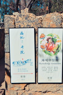 (桃花源记谜语)迷失在桃花源记中:一段难忘的蜜月之旅寻找心灵的净土 (桃花源记谜语)迷失在桃花源记中:一段难忘的蜜月之旅寻找心灵的净土