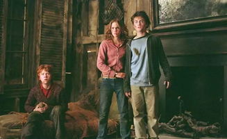 复古回顾：黑与白电影的魅力重现，经典之作令人陶醉，怀旧之情涌现