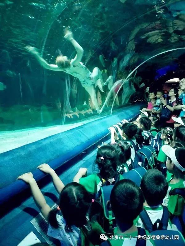 微信版奥丘树海之下攻略：探索海底世界的秘密之旅