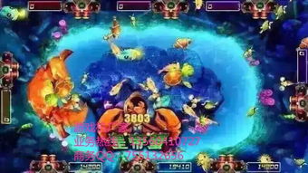 (神捕牌捕鱼器)神手捕鱼技巧大揭秘，一招秒变捕鱼高手，轻松捕到大鱼！