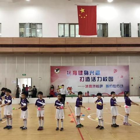 (探寻美国旱地冰球的丰富历史背景是什么)探寻美国旱地冰球的丰富历史背景