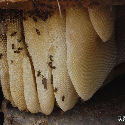 不放弃，坚持到底，手游百年的等待终将有答案揭晓