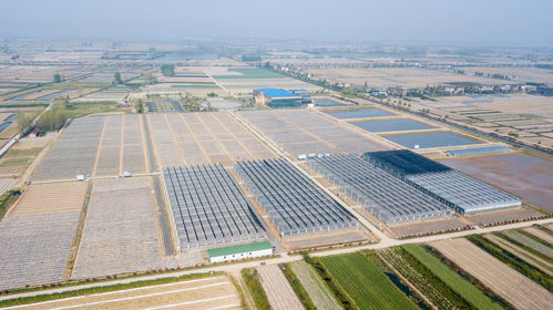 (云南蜂窝农业科技有限公司)全方位指南：探索云南的蜂窝网络旅游攻略与实用建议