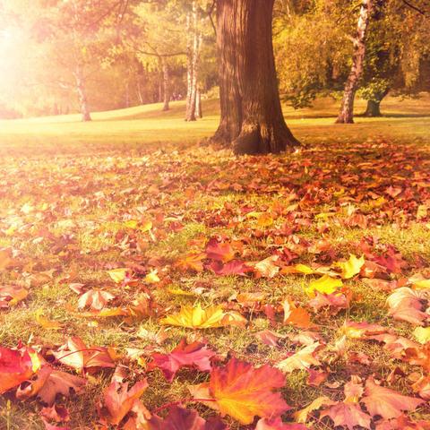 深度解析:挖掘卷帘西风笔下最具影响力的三部作品,聚焦其独特的风格与人性思考