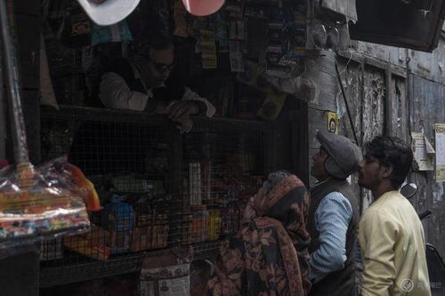 (重燃火花)重燃人生:火化后续的心灵重生与新征程探索