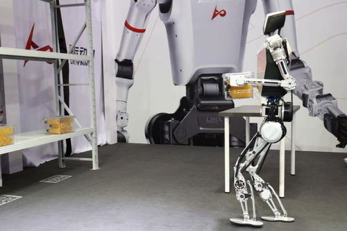 (人形机器人研制难度极大,却吸引着)在科技不断发展的今日,人形机器人的觉醒是否已经消失?