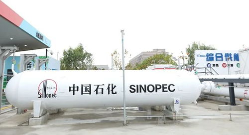 探寻我的起源卡杨语风的足迹和传承之地