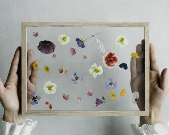 (彩色玻璃纸的玩法)五彩缤纷的彩色玻璃纸 手工制作,创意无限乐趣无穷 (彩色玻璃纸的玩法)五彩缤纷的彩色玻璃纸 手工制作,创意无限乐趣无穷