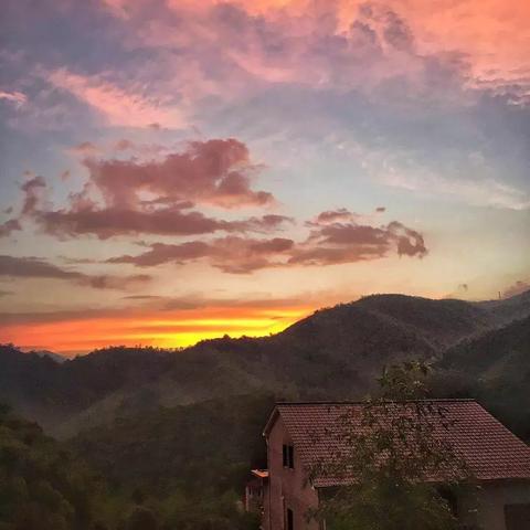 (游戏林间小屋)探寻林间小世界手机版下载官网,发现极致自然之美