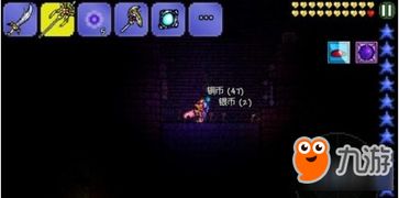 (泰拉瑞亚1.4如何快速刷暗影之魂)泰拉瑞亚如何快速刷暗影之魂以提升实力效率 (泰拉瑞亚1.4如何快速刷暗影之魂)泰拉瑞亚如何快速刷暗影之魂以提升实力效率