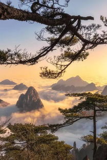 (《一统江山》)一统疆山在线观看:沉浸式体验,尽情畅享无限风光
