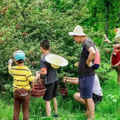 (梦幻花园探索地图)梦幻花园多少关卡?游戏探索者必知的挑战级别及通关攻略 (梦幻花园探索地图)梦幻花园多少关卡?游戏探索者必知的挑战级别及通关攻略