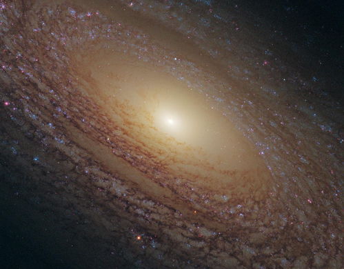 (紫微星在宇宙里)紫微星宇宙12月封印全部打开,宇宙秘密即将揭晓 (紫微星在宇宙里)紫微星宇宙12月封印全部打开,宇宙秘密即将揭晓