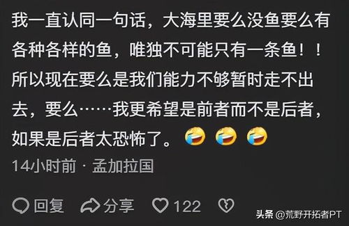 (在探索我的现在)在探索中发现了另一个自己:我与我共存的旅程