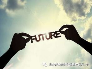 (在探索我的现在)在探索中发现了另一个自己:我与我共存的旅程 (在探索我的现在)在探索中发现了另一个自己:我与我共存的旅程